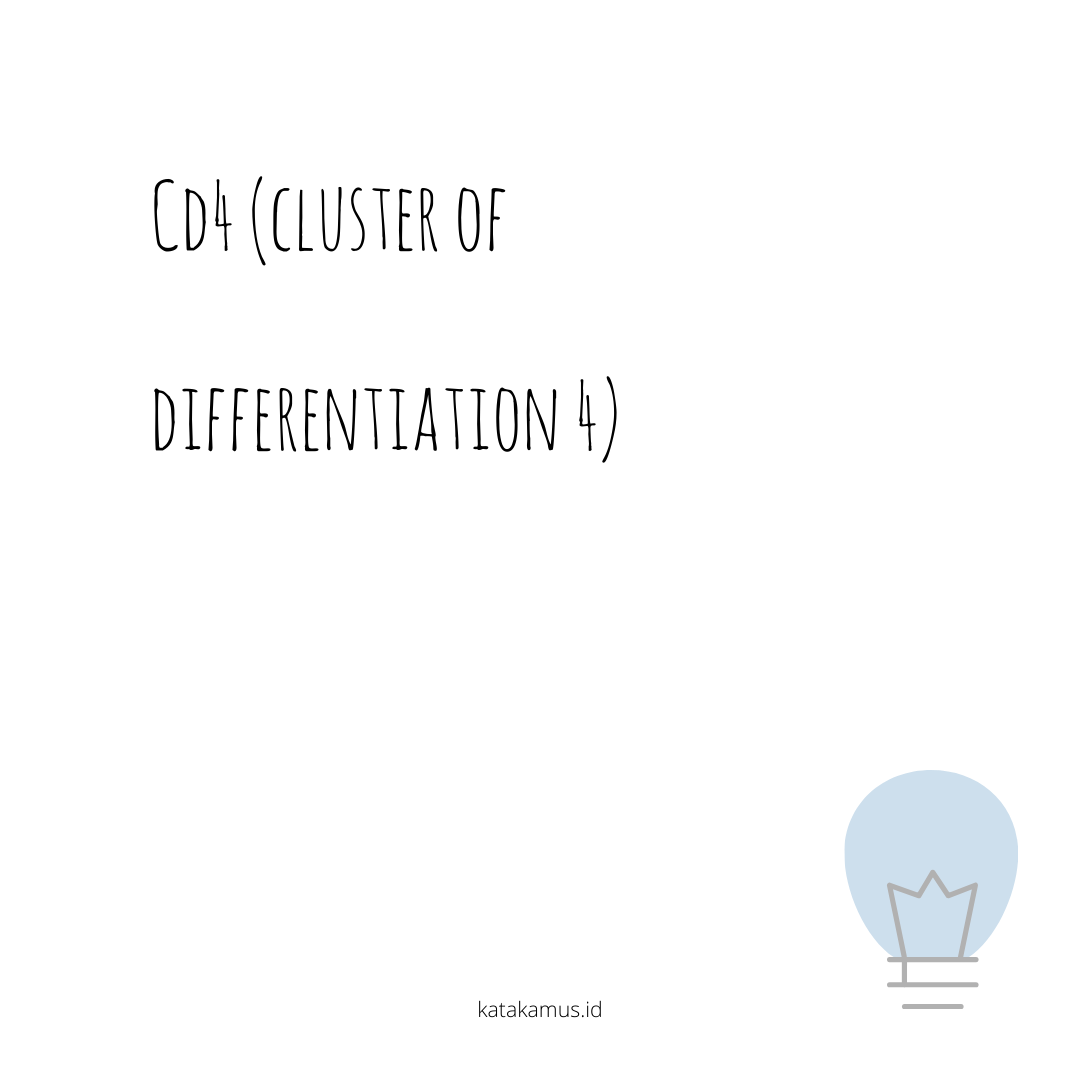 gambar CD4 (Cluster of Differentiation 4)