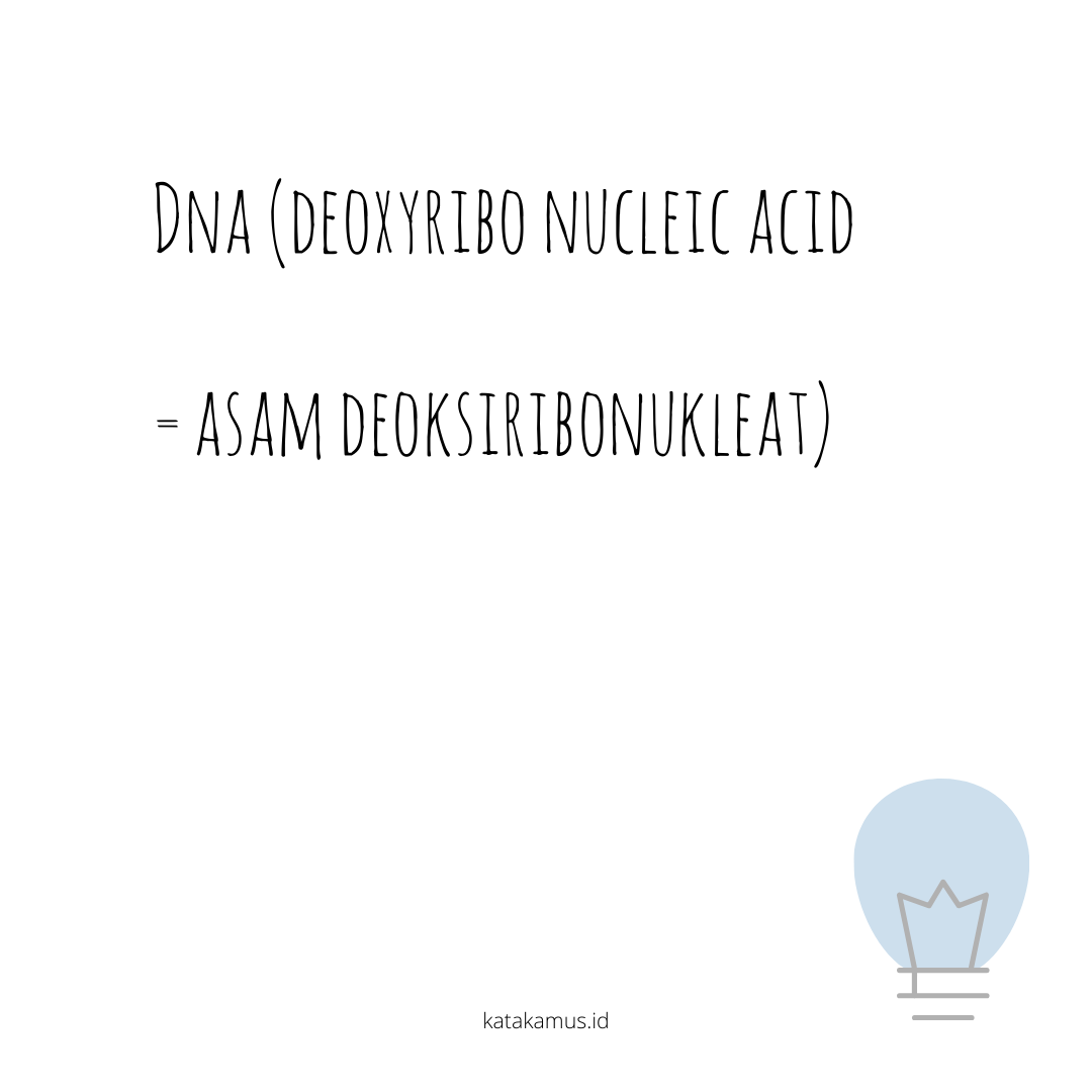 gambar DNA (Deoxyribo Nucleic Acid = Asam deoksiribonukleat)