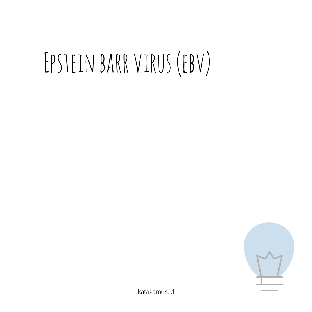 gambar Epstein Barr Virus (EBV)