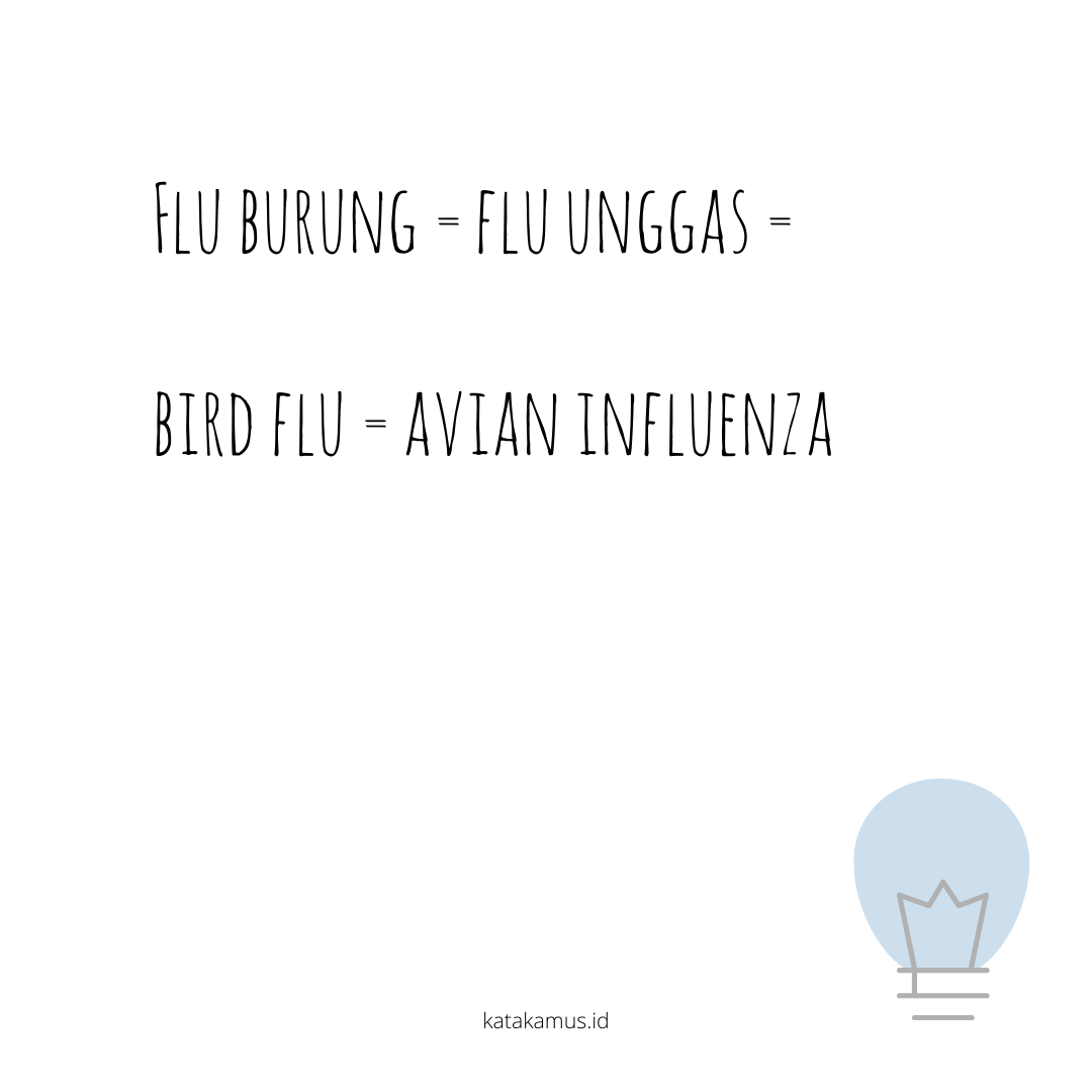 gambar Flu burung = flu unggas = Bird Flu = Avian Influenza