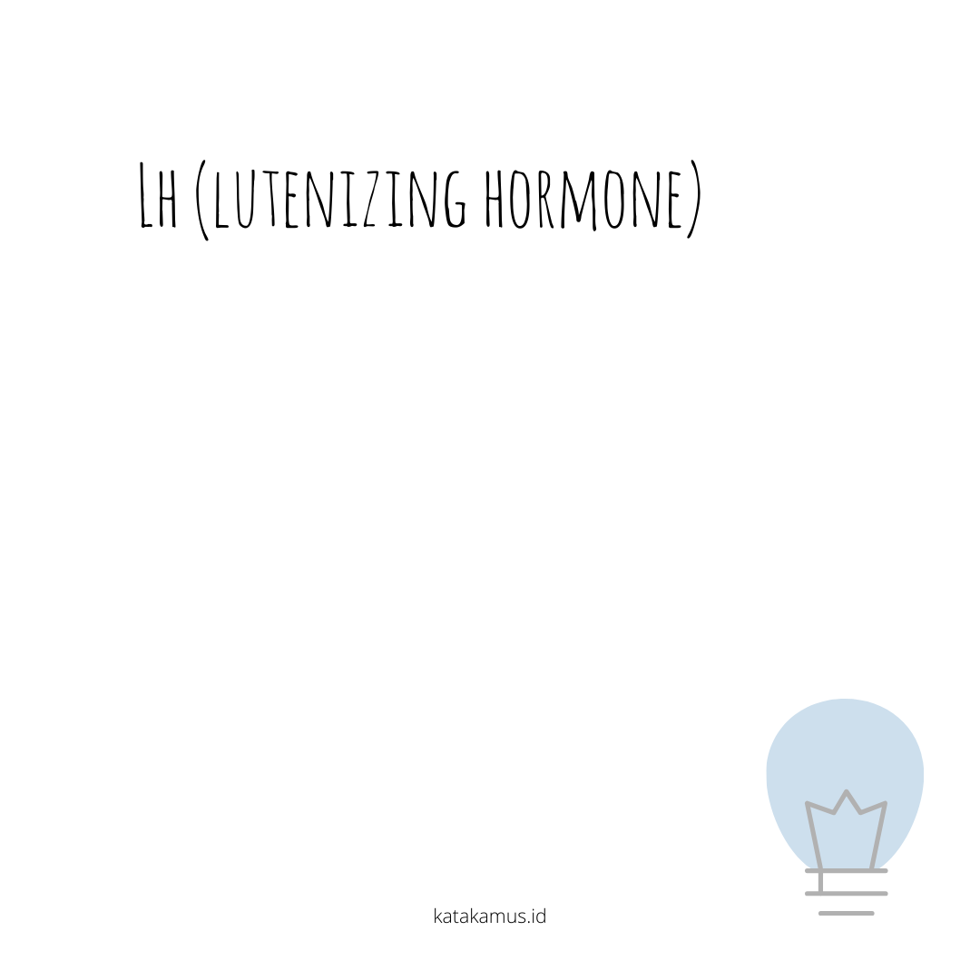 gambar LH (Lutenizing Hormone)
