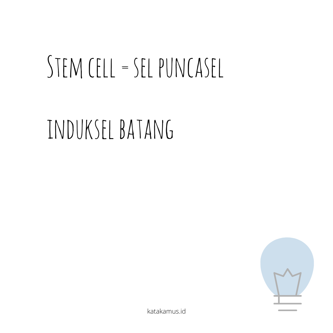 gambar Stem cell = sel punca/sel induk/sel batang